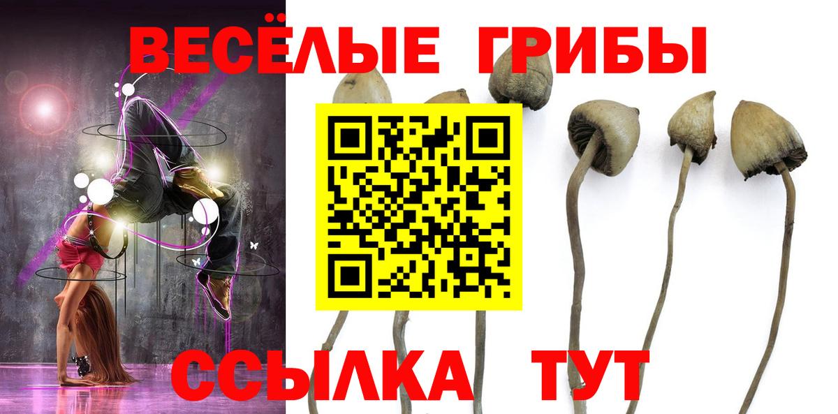 Галлюциногенные грибы мицелий  Вход с VPN  Малоярославец 
